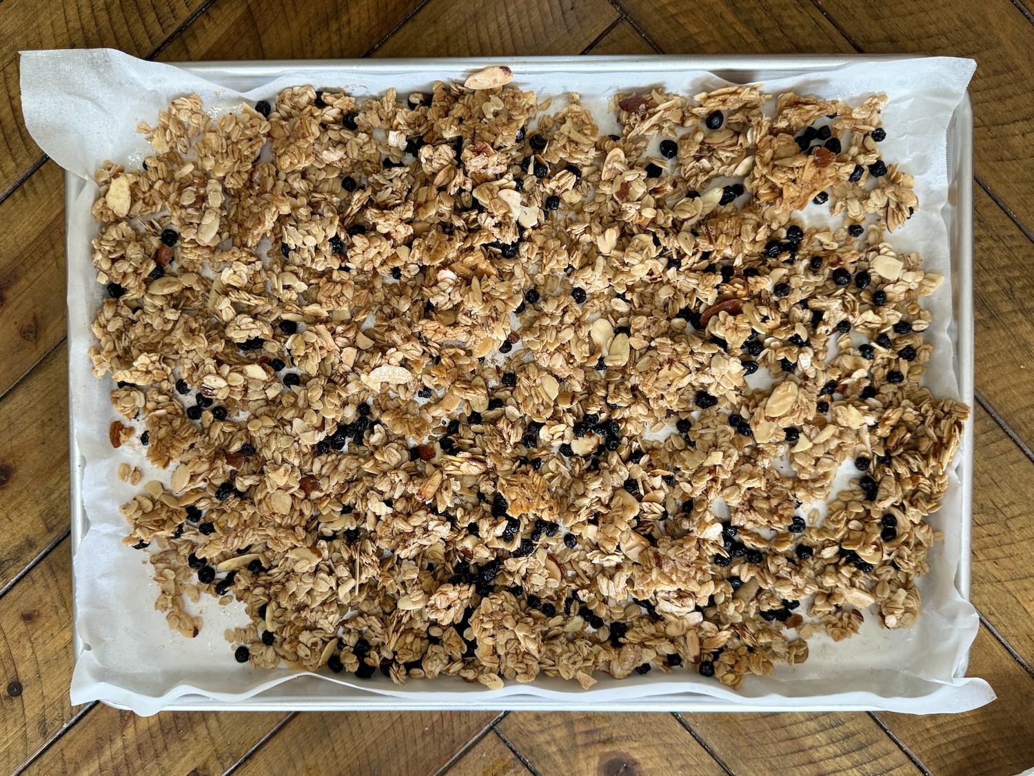 Granola with dried blueberries mixed in