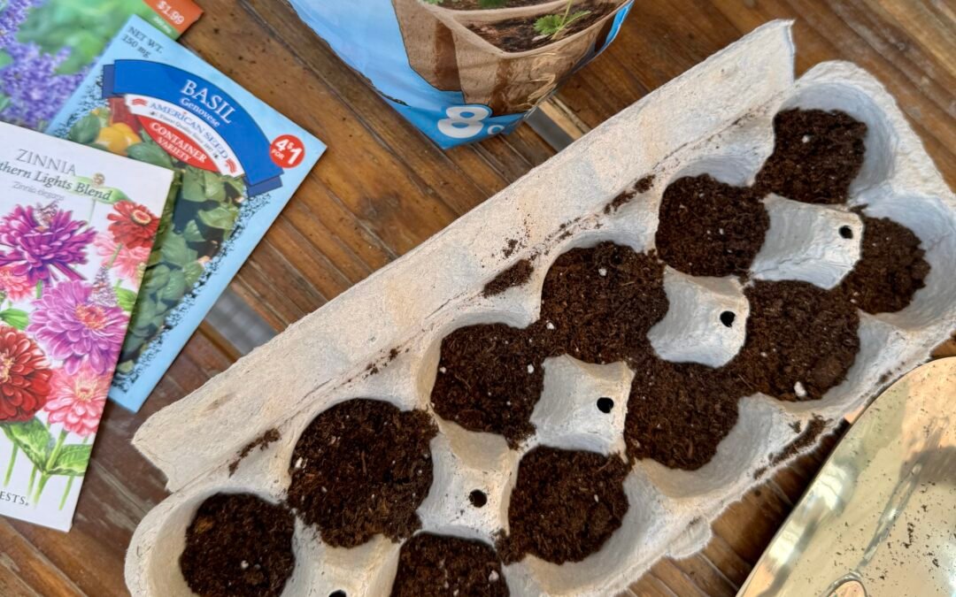 How To Germinate Seeds