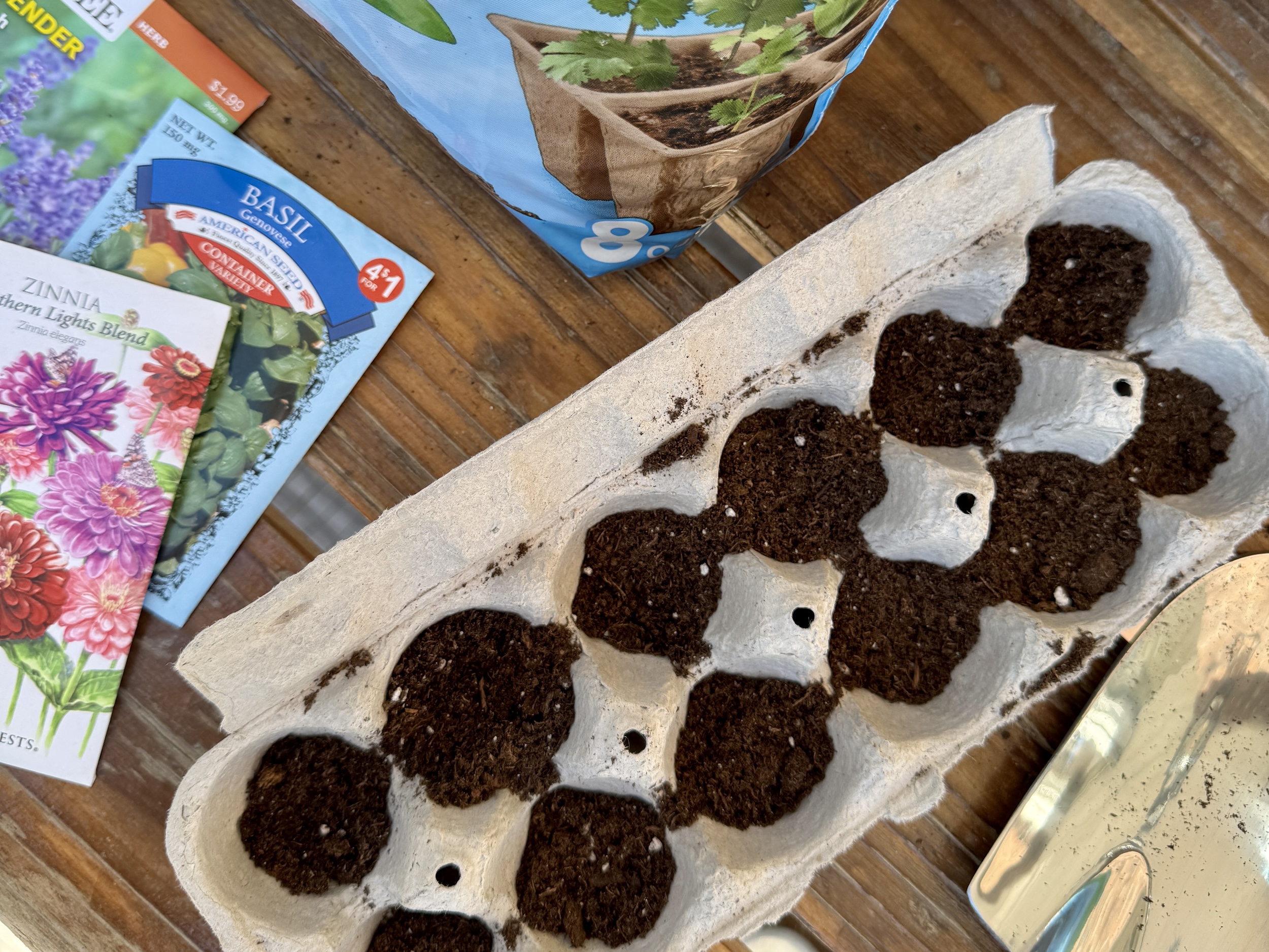 Seed Germimation Thumbnail