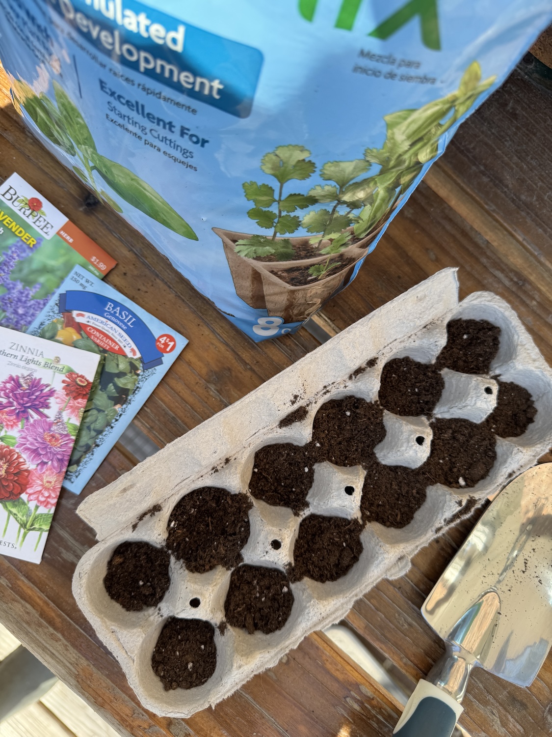 Seed germination egg carton Seed germination egg carton