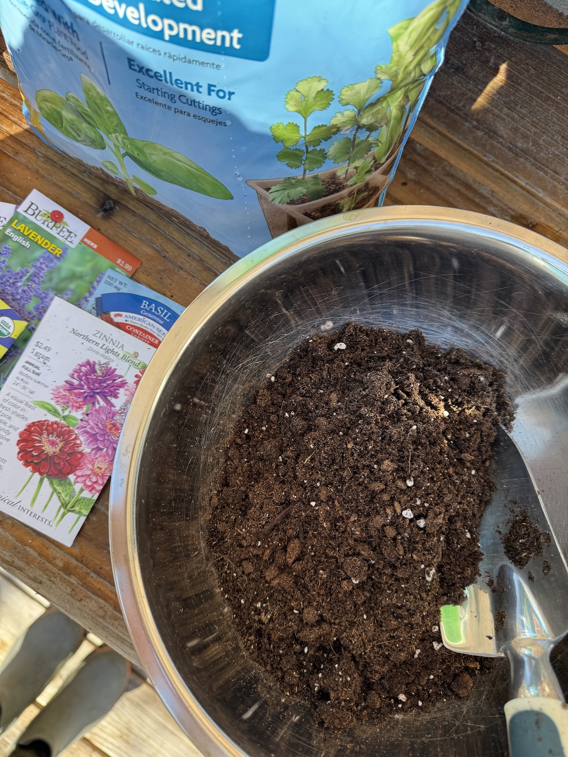 seed starting soil in a bowl Germinating seeds by mixing soil in a bowl