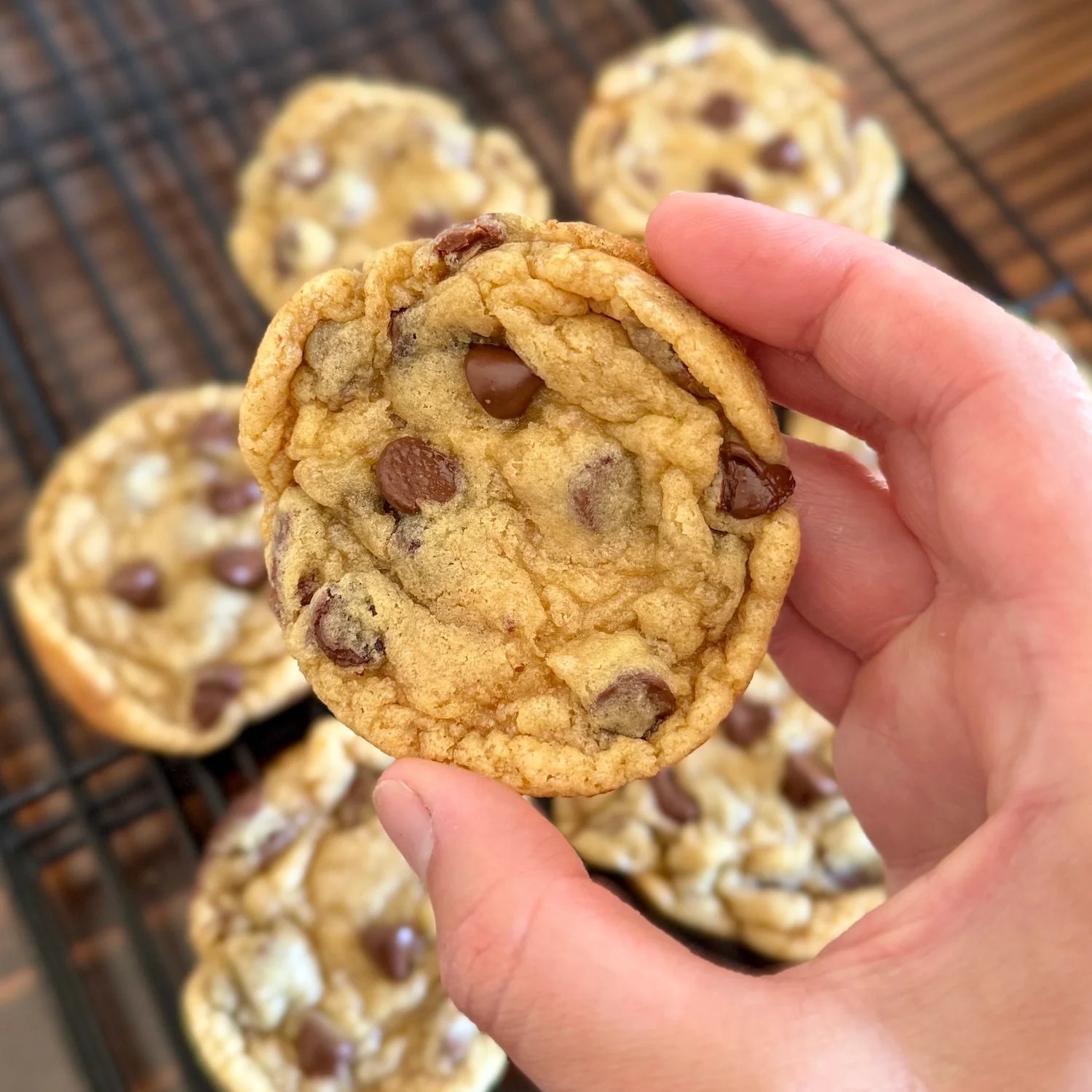 close-up-of-chocolate-chip-cookie